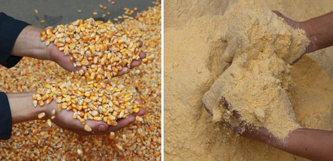 15方架家用小型粉碎機(jī)粉碎物料效果